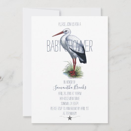 Invitation Baby shower de cigogne (Devant)
