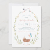Invitation Baby shower de cigogne rose et bleu (Devant)