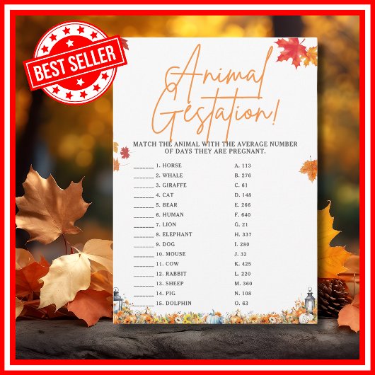 INVITATION BABY SHOWER DE GESTION ANIMALE JEU PETIT CITROUILL