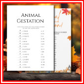 INVITATION BABY SHOWER DE GESTION ANIMALE JEU PETIT CITROUILL