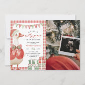 Invitation Baby shower de Noël Silly Goose (Devant)