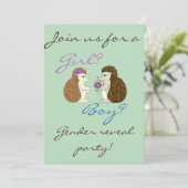 Invitation Baby shower de révélation de genre de h (Debout devant)