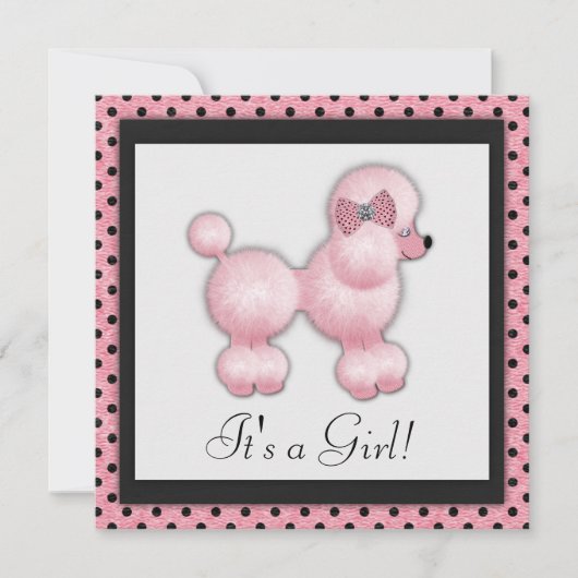 Invitation Baby Shower Poodle Rose (Devant)