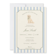 Baby Shower Retriever Golden à rayures bleues