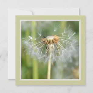 Invitation Baby shower vert blanc Dandelion Fleurs