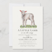 Invitation Baby shower virtuel Little Lamb (Devant)