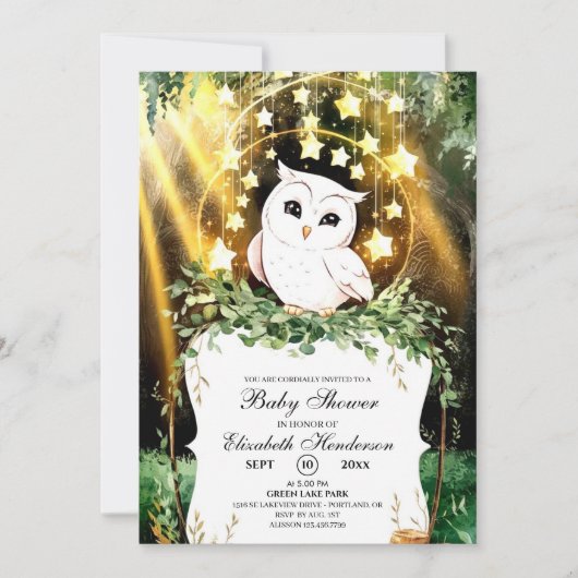 Invitation Baby shower Whimsical Cute Owl (Devant)