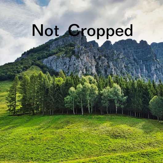 Invitation bachelorette