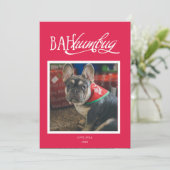 Invitation Bah Humbug Silly Pet Photo Holiday Card (Debout devant)