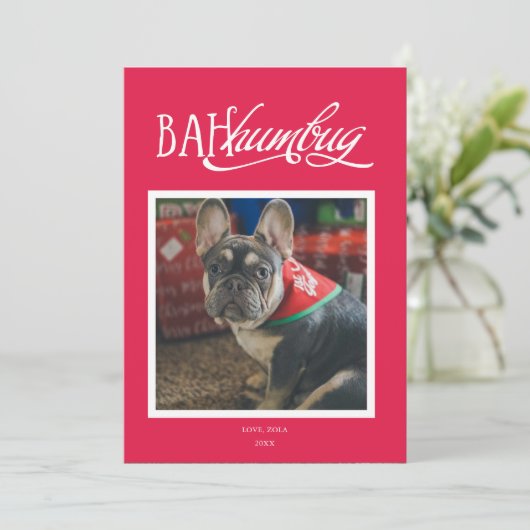 Invitation Bah Humbug Silly Pet Photo Holiday Card (Debout devant)