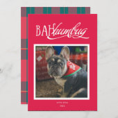 Invitation Bah Humbug Silly Pet Photo Holiday Card (Devant / Derrière)