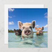 Invitation Bahamas Swimming Pig 2024 (Devant / Derrière)