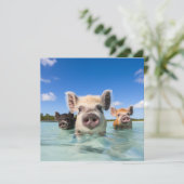 Invitation Bahamas Swimming Pig 2024 (Debout devant)