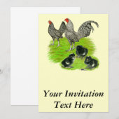 Invitation Barred Bantam Family (Devant / Derrière)