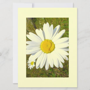 Invitation Bassin blanc