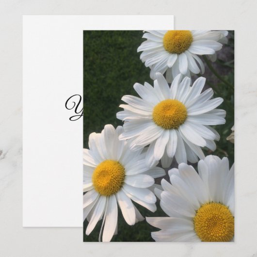 Invitation Bassins blancs (Devant / Derrière)