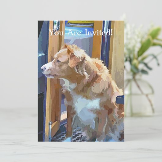 INVITATION BATEAUX DE CANAL (Debout devant)