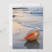 Invitation Beach Seashell Mer Célébration De La Vie (Dos)