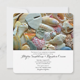 Invitation Beach Shells Tropical Designer Mariage