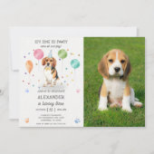 Invitation Beagle laisse Pawty Chien Chien Chien Chien Chiot  (Devant)