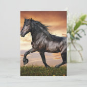 Invitation Beau Cheval Noir (Debout devant)