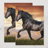 Invitation Beau Cheval Noir (Devant / Derrière)