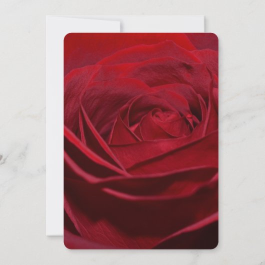 Invitation Beau mariage de rose rouge (Dos)