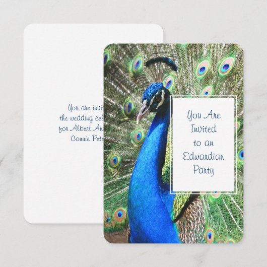Invitation Beau Peacock (Devant / Derrière)