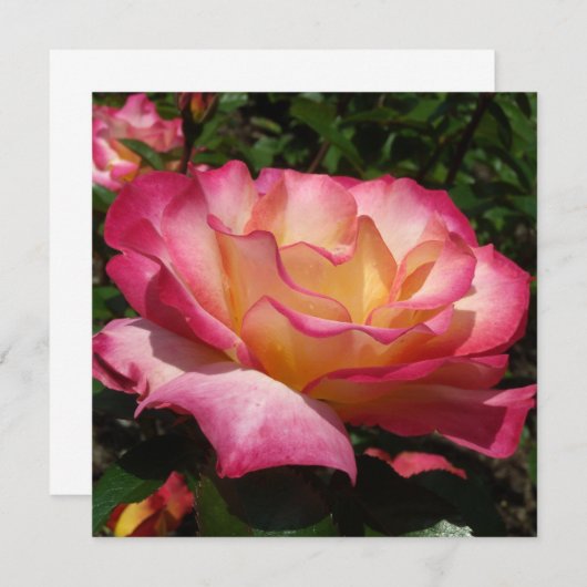 Invitation Beau Rose (Devant / Derrière)