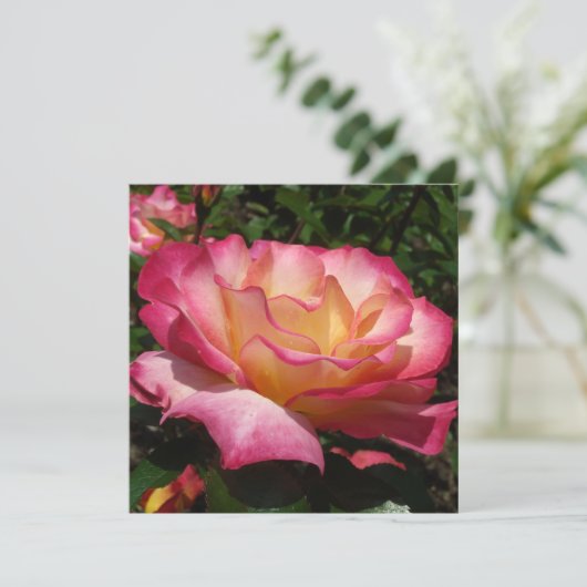 Invitation Beau Rose (Debout devant)