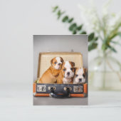 Invitation Beaux Chiots Bouledogue | Amateur de Chien (Debout devant)