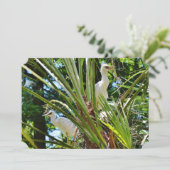 Invitation Bébé Birrds (Debout devant)