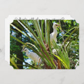 Invitation Bébé Birrds (Devant / Derrière)