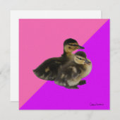 Invitation Bébé Canards sur framboise rose et sorbet pourpre (Devant / Derrière)