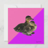 Invitation Bébé Canards sur framboise rose et sorbet pourpre (Devant)