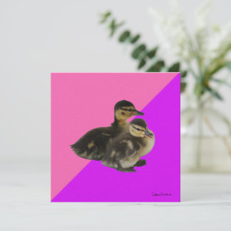 Invitation Bébé Canards sur framboise rose et sorbet pourpre