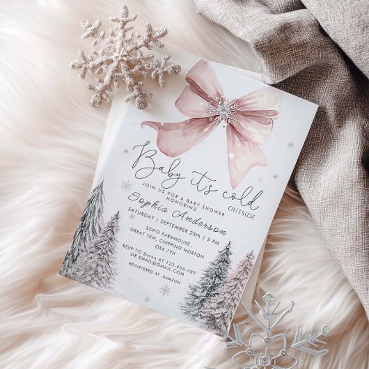 Invitation Bébé C'est froid dehors Baby shower de la cave ros
