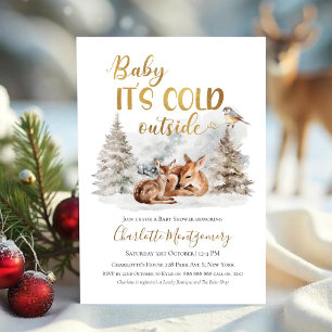 Invitation Bébé il fait froid à l'extérieur du Baby shower de
