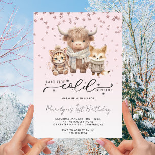 Invitation Bébé il fait froid dehors 1er anniversaire rose
