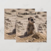 Invitation Bébé Meerkat Jouant Dans Le Sable, (Devant / Derrière)