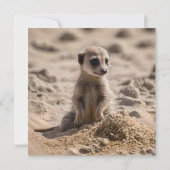 Invitation Bébé Meerkat Jouant Dans Le Sable, (Dos)