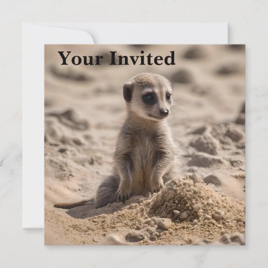 Invitation Bébé Meerkat Jouant Dans Le Sable, (Devant)