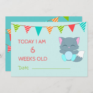 Invitation Bébé mignon Jalon Mois Kitten coloré
