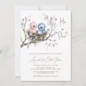 Invitation Bébé mignon Oiseaux Genre Reveval Party (Devant)