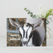 Invitation Bébé mignon photo chèvre Anniversaire (Debout devant)