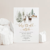 Invitation Bébé son froid à l'extérieur du baby shower de cer