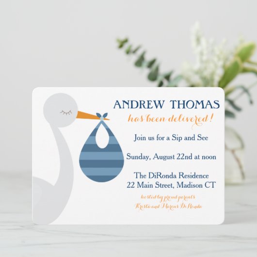 Invitation bébé Stork / Faire-part bébé (Debout devant)