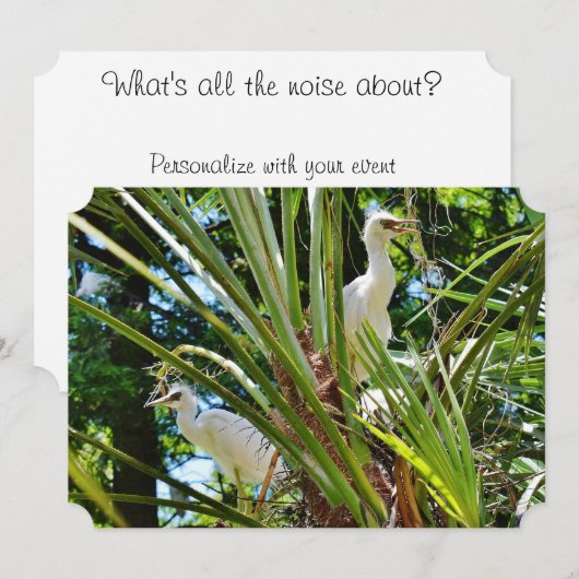 Invitation Bébés aigrettes (Devant / Derrière)