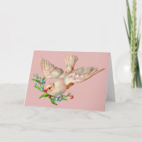 belle colombe blanche avec sprig dans la bouche