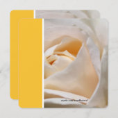 Invitation Belle fête d'anniversaire avec fleur de rose blanc (Devant / Derrière)